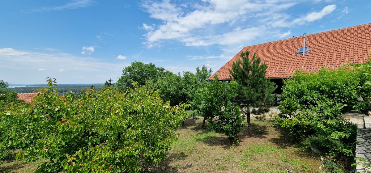 stanodavac's tweet image. Vikendica Grocka Dunav

*VIDEO* Youtube Standavac: youtu.be/pnJGqrZnFA0

#Stanodavac #Grocka #Beograd #Srbija #nekretnine #vikendica #live #uživo #Сербия #недвижимость