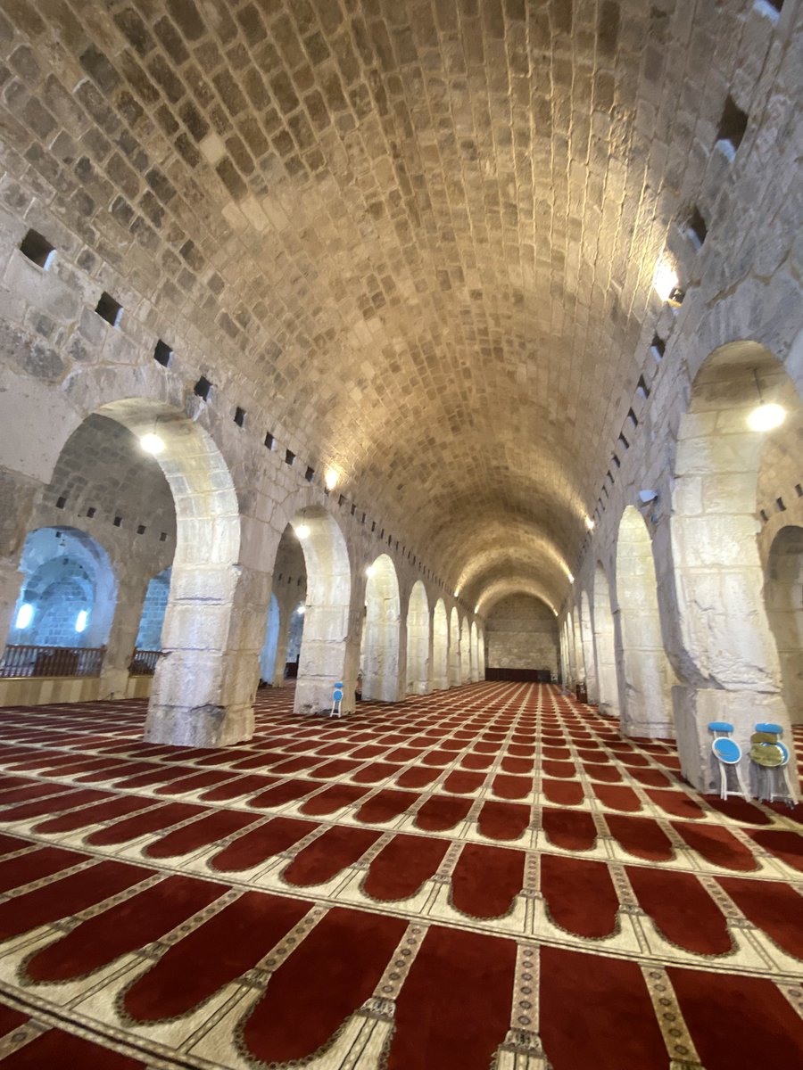 thatpali_'s tweet photo. peace 🕊️🇵🇸 https://t.co/QUq1I8h6aj