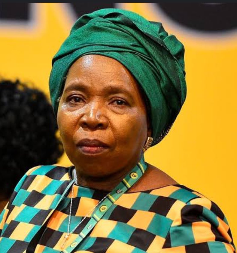kimheller3's tweet photo. There are no courageous leaders or comrades left in the ANC. There are few who are brave enough to stand up for what is right and just.
The only one who has some political consciousness and compassion is Dr Nkosazana Dlamini Zuma
Are there any others? https://t.co/7FK5PZH839