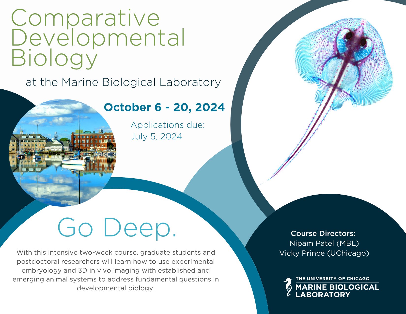 Marine Biological Laboratory (MBL) on X: &ldquo;Are you a #gradstudent 