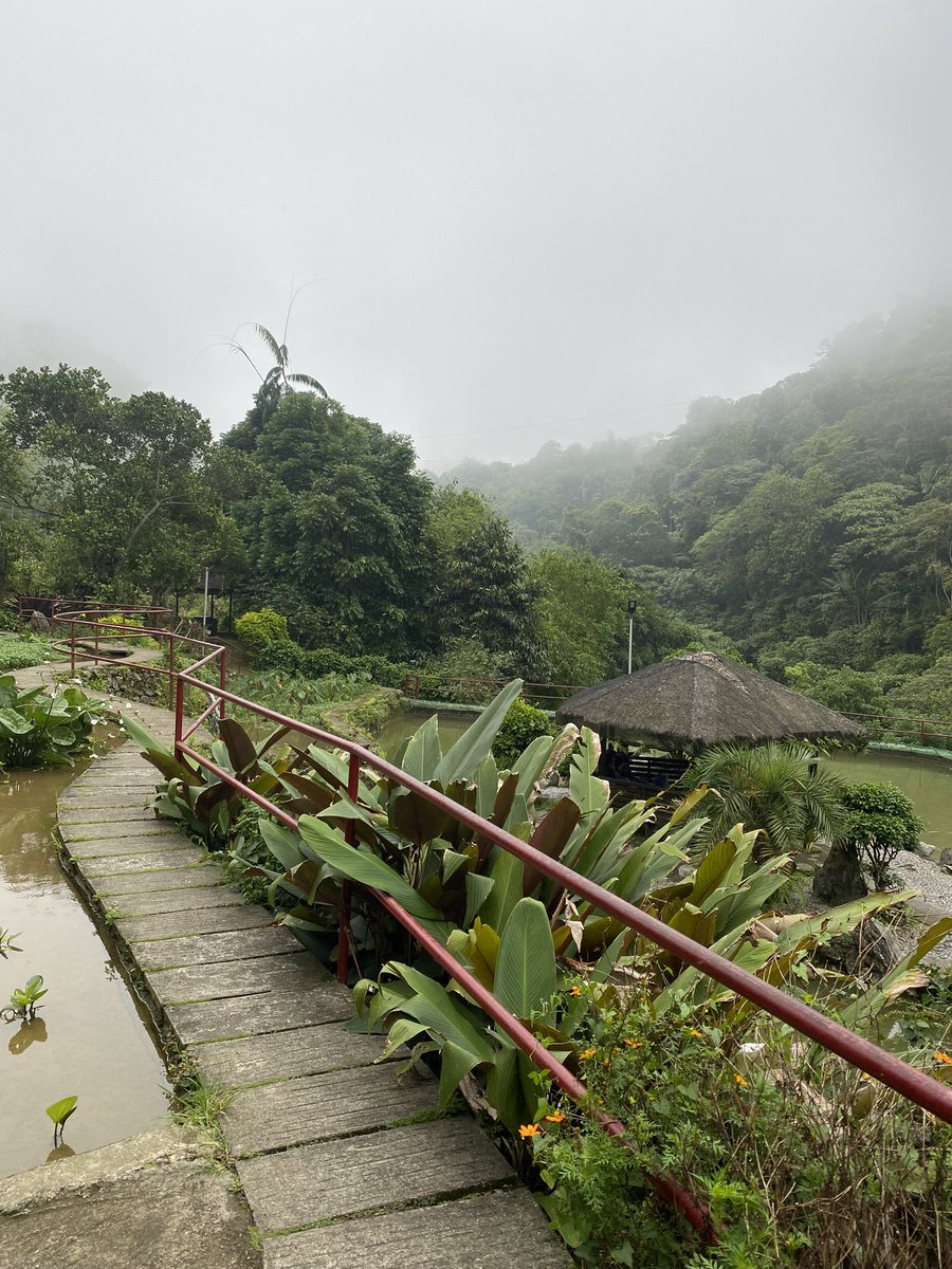 katsidonn's tweet photo. bring me back to baguio 🍃🫧🌀 #archivetwt #lifetwt https://t.co/8fdQ7Q11I7