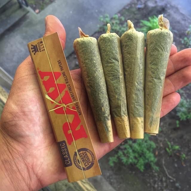 Zito 🐐💨🎖️ tweet media