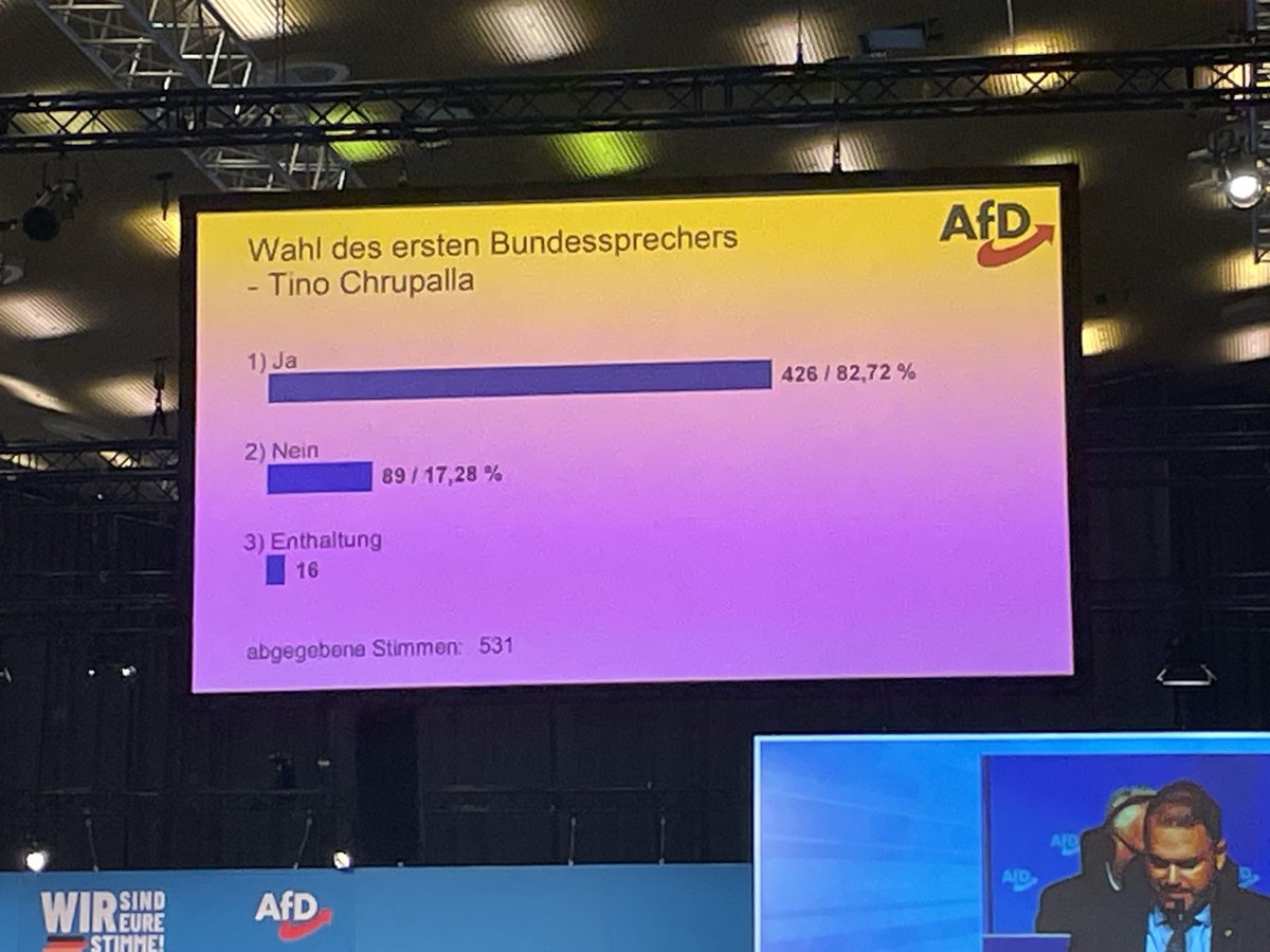 Tino Chrupalla re-elected as co-leader of Germany‘s far-right AfD - strong vote