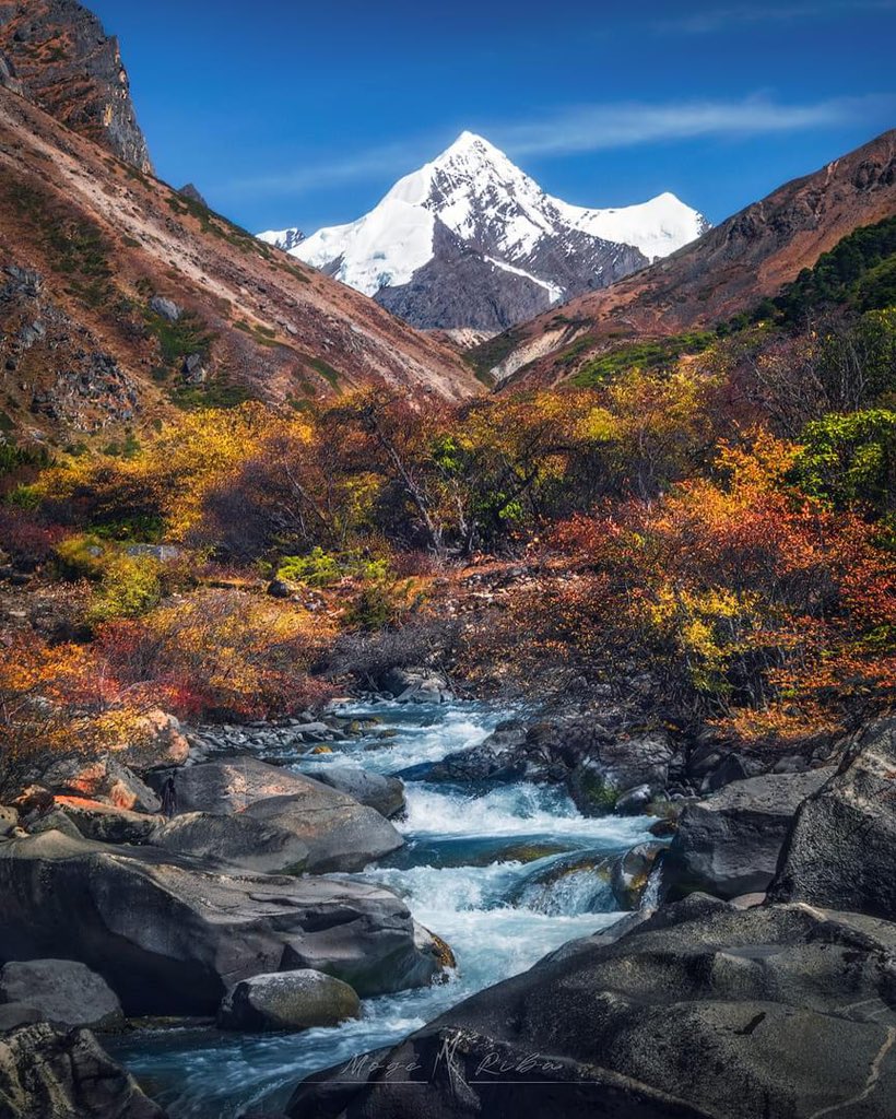 Lost in the beauty of the majestic Gorichen Peak in Tawang, Arunachal Pradesh!  The crystal-clear streams, vibrant colors, and snow-capped peaks create a breathtaking panorama that's truly a slice of paradise. 

📷<a href="/IamMogeRiba/">Moge Riba</a>
