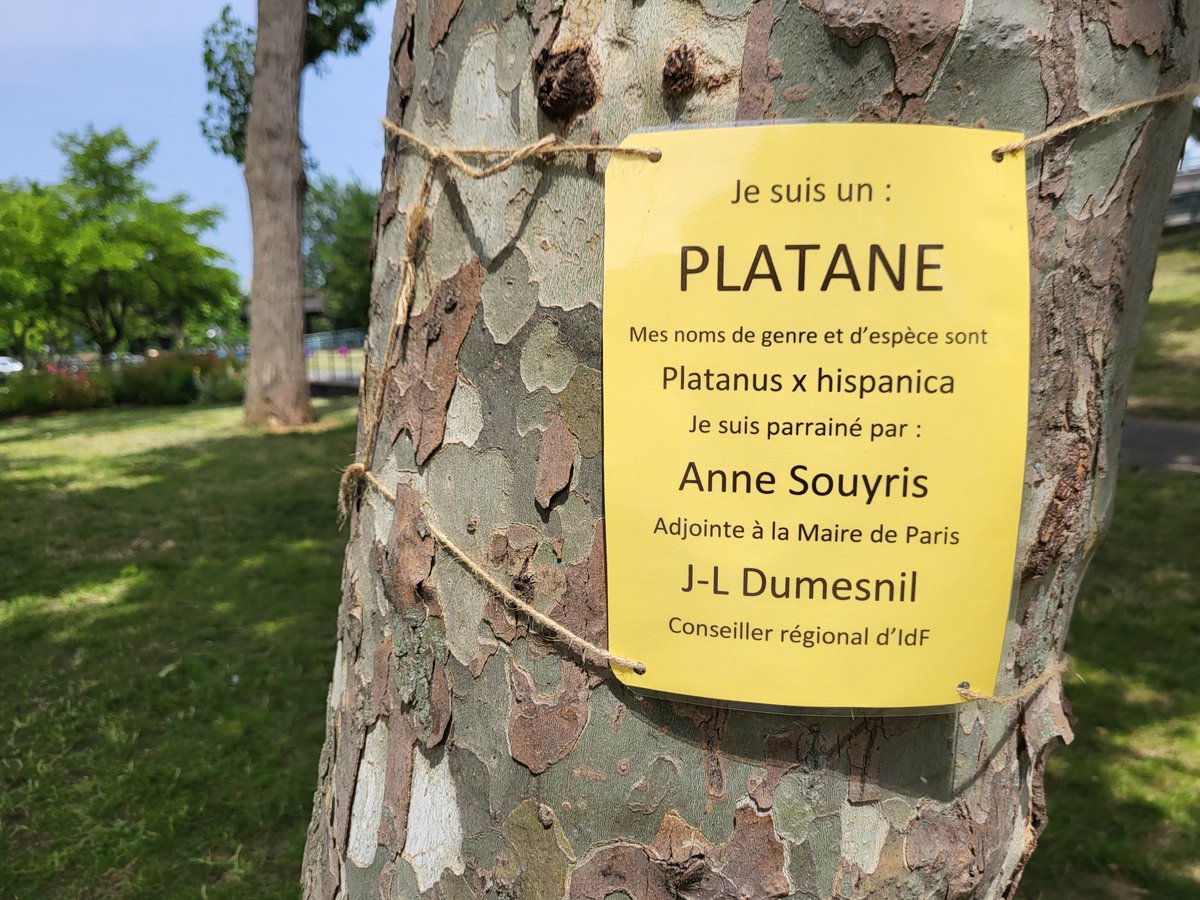La square Forceval a une longue histoire... les élu·es écologistes veulent sauver cet espace vert et ses arbres.
Derrière ce mur construit en 2021, le passage vers Pantin et Aubervilliers, sous le Périphérique... aujourd'hui on le fait sauter symboliquement !
