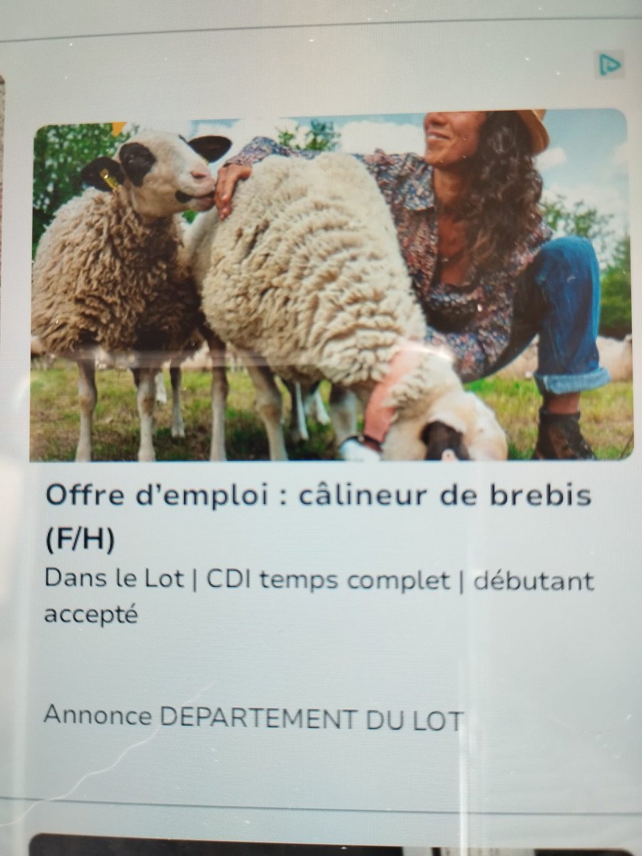 _jamapy's tweet photo. ma mère m'a envoyé ça ce matin je vais juste HURLER ?????? https://t.co/VYRgjjPO9M