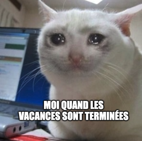 OwgVoyages's tweet photo. Quand tu réalises que le vol est fini et qu'il est temps de rentrer... 😔
#meme #aviationmeme
#HIGHLOVE #owg #itsallaboutlove #travel https://t.co/we0HgqmL7r