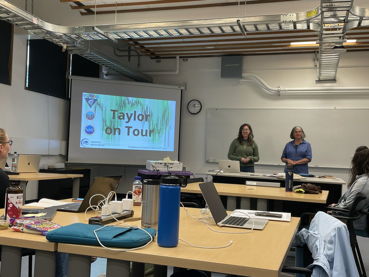 Sta”sea” “Sea”bert🐬🐋🦈🐙🐠🐡🦑 tweet media