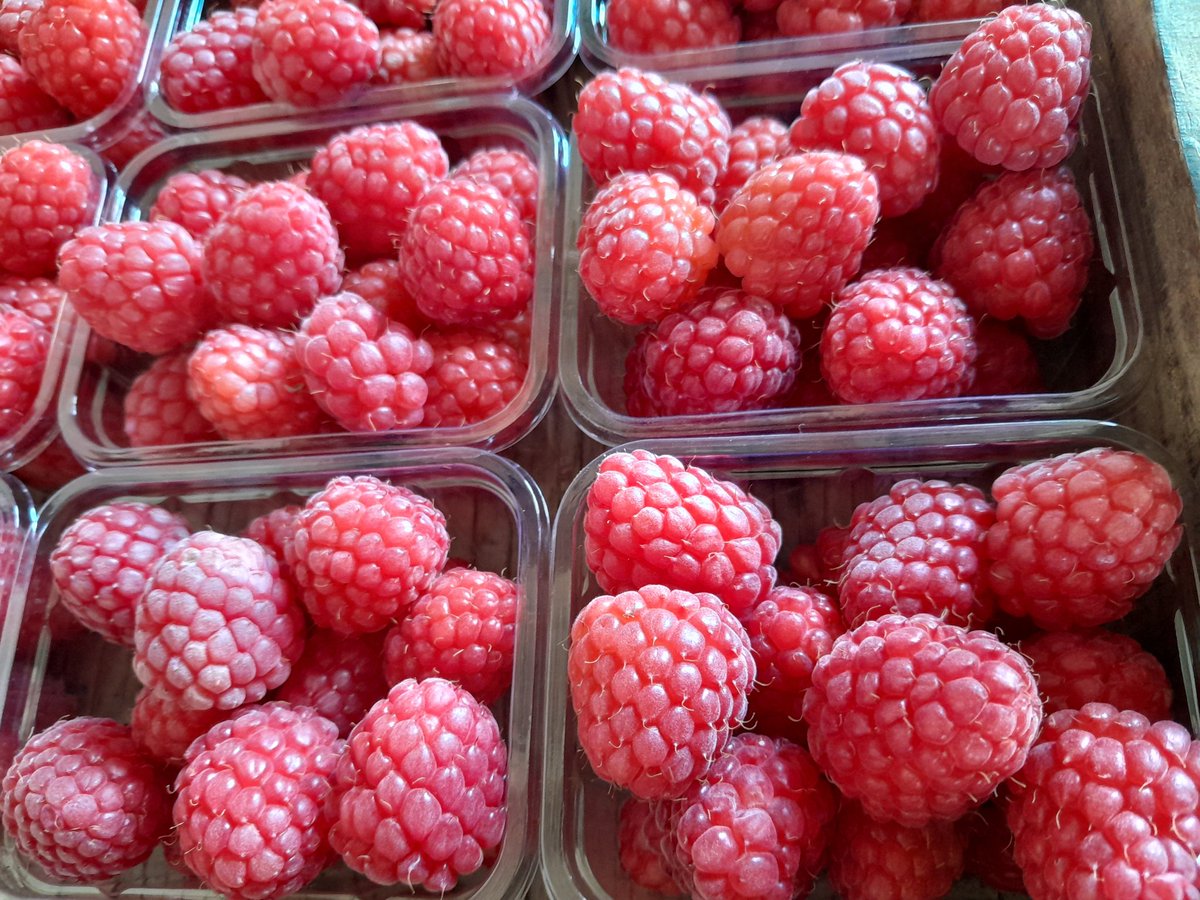 Pleasing sample

#raspberries