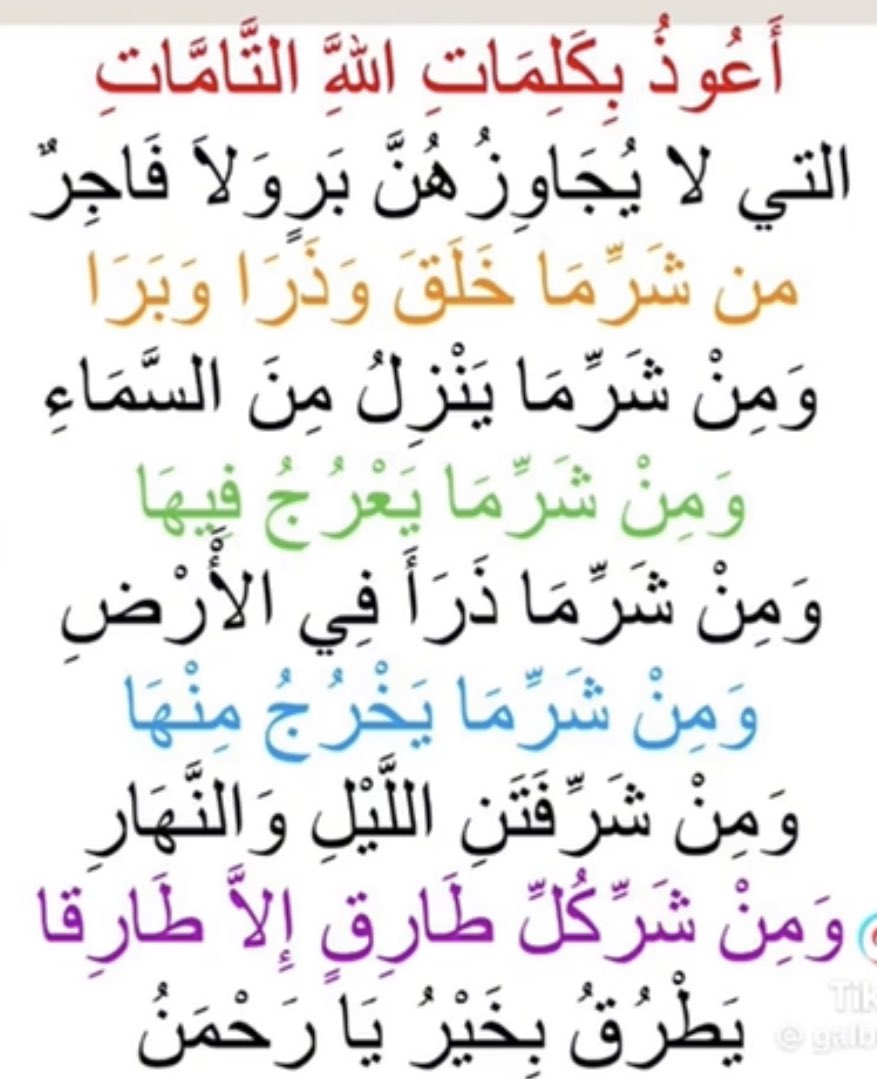 محب القرآن الكريم والسنه🇸🇦 tweet media