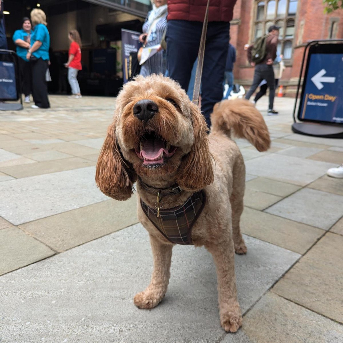 Newcastle University tweet media