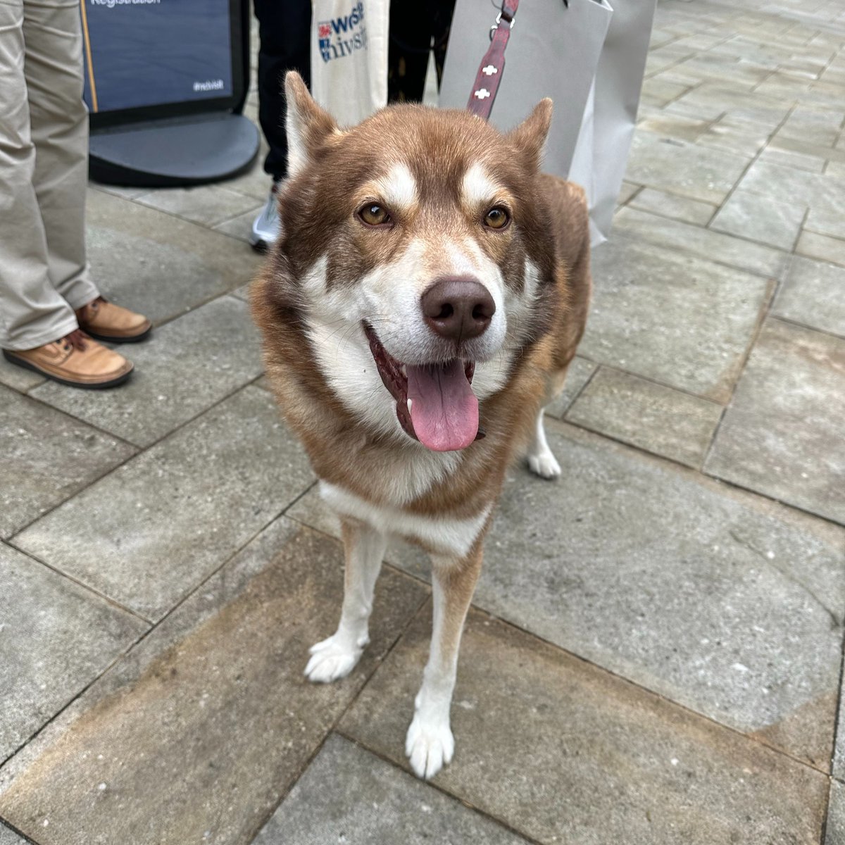 Newcastle University tweet media