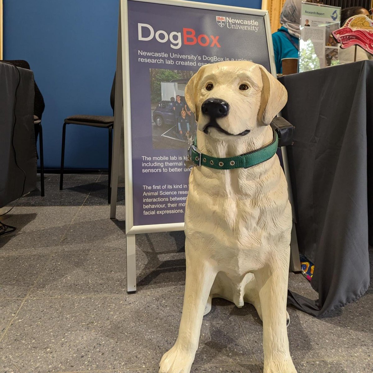 It's been great welcoming so many visitors to campus for our open day today - including these furry VIPs.

Hope everyone enjoyed their visit and we'll see you back in the Toon soon.

#nclvisit #wearencl #dogsofinstagram #dogoftheday