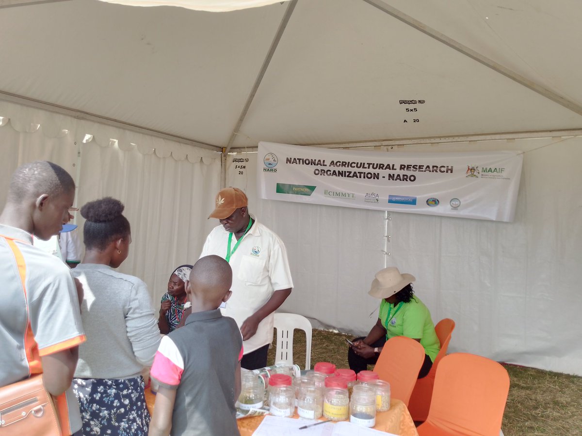 NNasarri's tweet photo. NaSARRI-NARO has participated in the East African Grain council Agri-business Expo at Kihonda Labongo Masindi District. We are happy to deliver the NARO  climate smart crop technologies to the people of Bunyoro. It has been a very engaging two days https://t.co/jnYNYvr4Wt