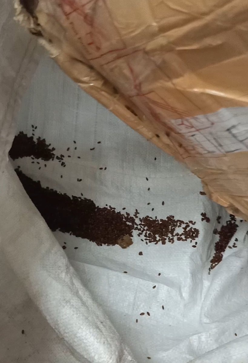 vidhikodia's tweet photo. I have added the pictures of all the parcels that I have revcieved in their terrible condition. 

@porterit_ @vikasch 
#customerservice
#deliveryhaihojayega 
#porter 
#courierservice https://t.co/9MeQZtE0Uq