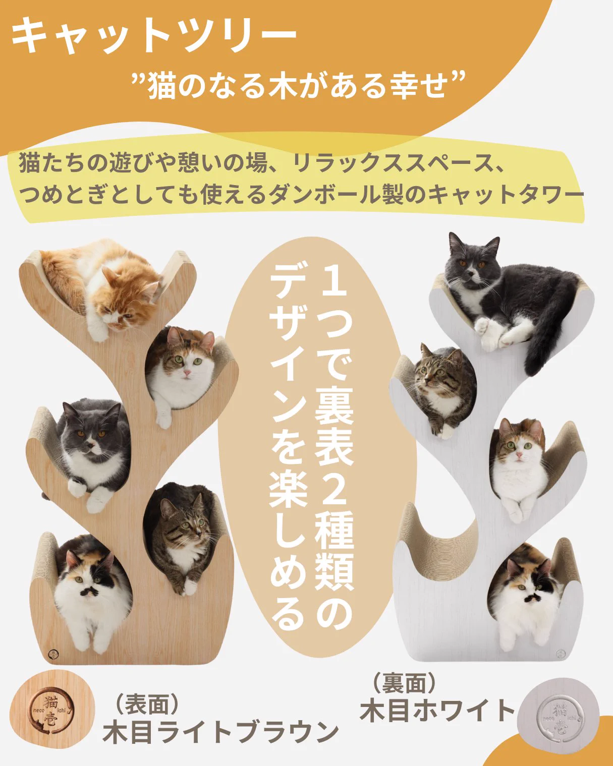 猫壱（necoichi）公式 on X: 