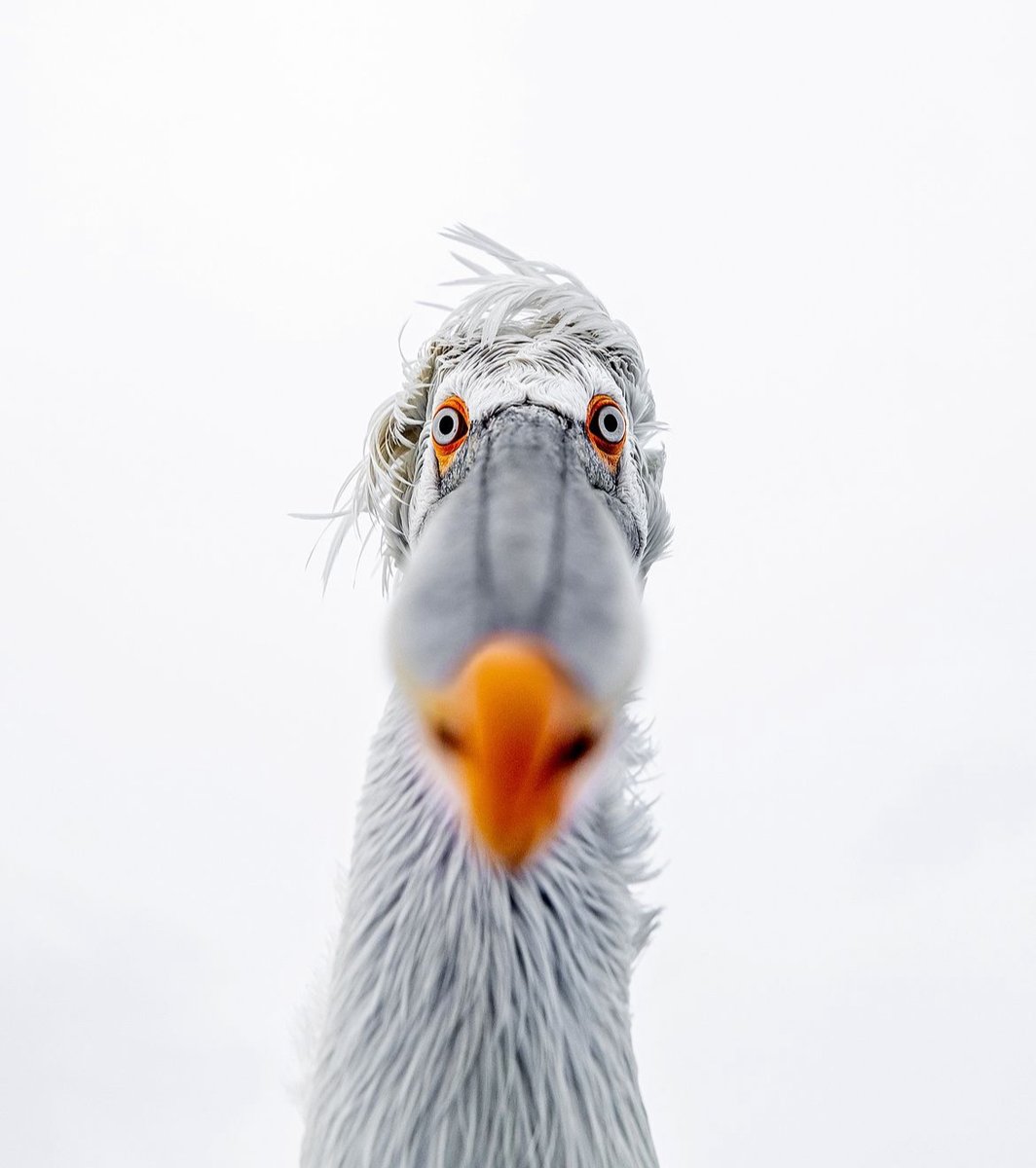 Kevin_cindy12's tweet image. Your daily dose of #CO2 part 1

28.06.2024 426.80
28.06.2023 Unavailable
28.06.2022 420.56 🆙2.48 or 0.59%
28.06.2021  418.08 🆙 2.27 or 0.55%
28.06.2020  415.81 🆙 2.53 or 0.61%

#Metacrisis  #ClimateCrisis #ClimateEmergency #ClimateChange