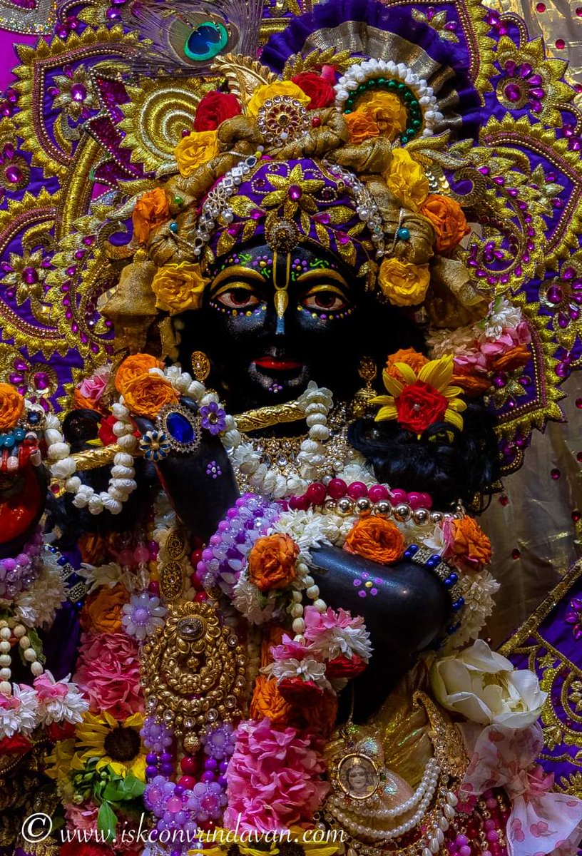 theholy_monk's tweet photo. Jai Sri Krishna 🎉🍎🥀🪷 https://t.co/YkHvcdj6OJ