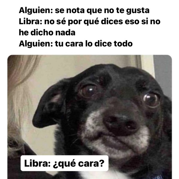 😂😂😂