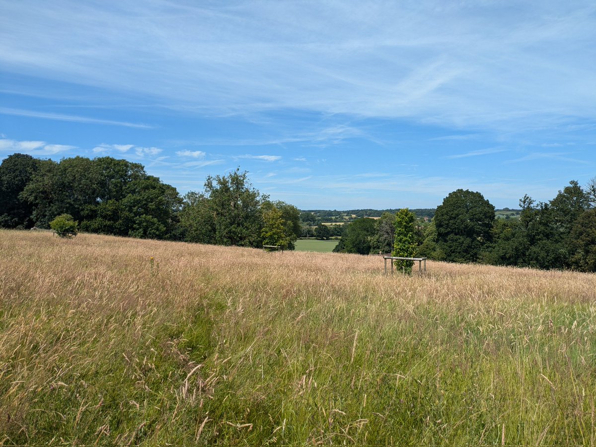 #mooratspark #stunningview