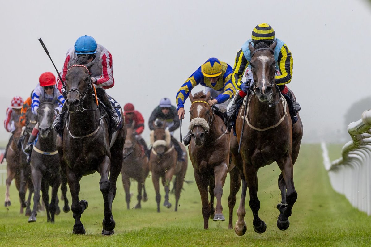 curraghrace's tweet photo. Apricot Ice 🧊 

Wins impressively for trainer Ger Lyons in @Sherry_Fitz Country Homes Handicap.👏

Congratulations to all connections ✨🤩 https://t.co/CdFa8lWD6n