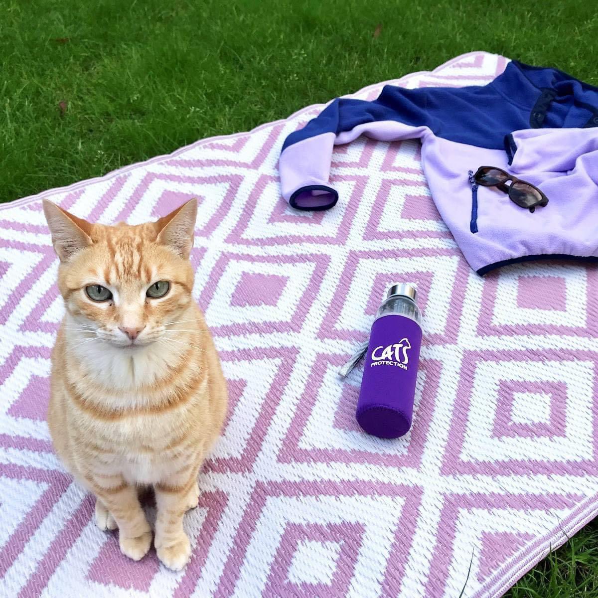 I’m taking on the Big Summer Roam for <a href="/WokingCP/">Woking Cats Protection</a> and <a href="/CatsProtection/">Cats Protection</a>  this August I’ll be walking 100 miles for cats and kittens in need 😻😻😻.

Please sponsor me, if you can - justgiving.com/page/andrew-is… <a href="/CPMediaTeam/">CatsProtectionMedia</a>