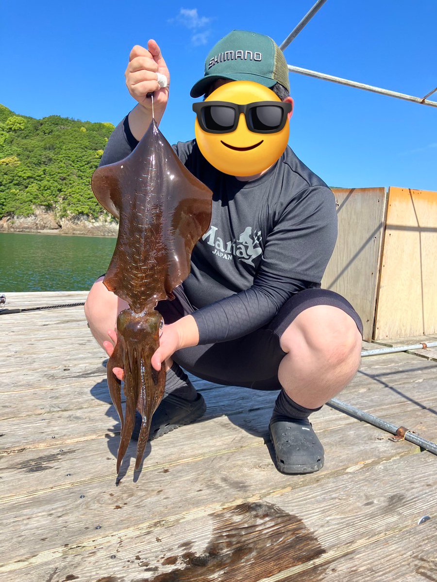 藤丸まよ🎣🦍⛷️🏋️ tweet media
