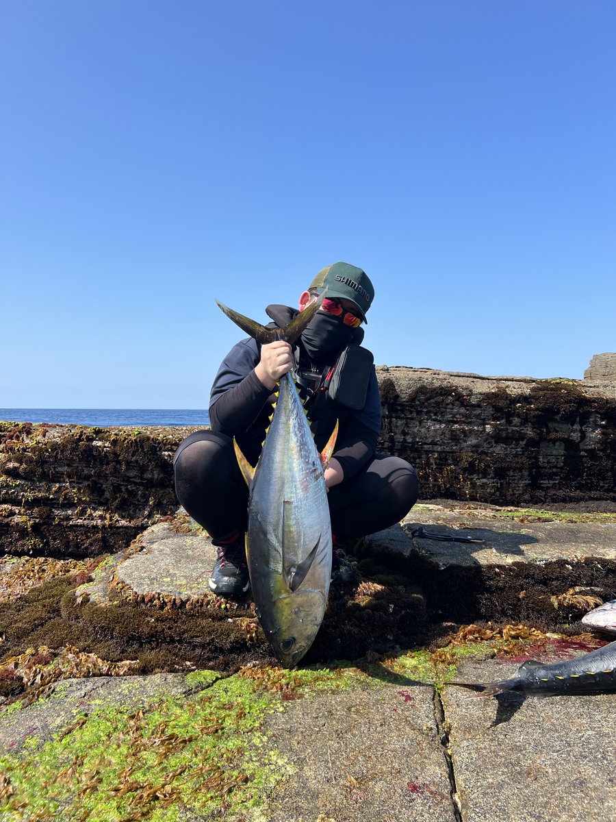 藤丸まよ🎣🦍⛷️🏋️ tweet media