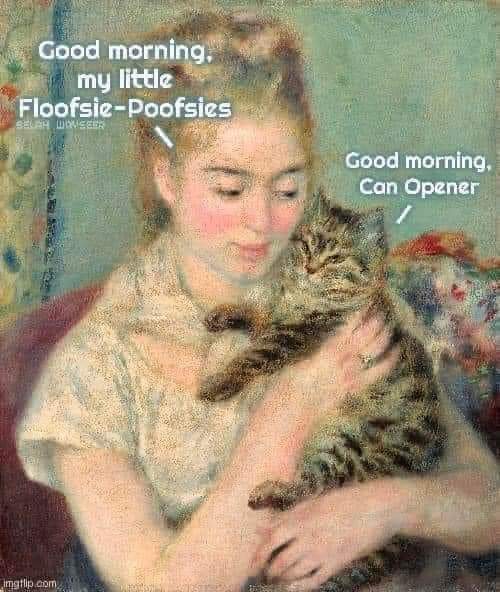 adrianaallegri's tweet photo. Ah, love. 🥰🤣 #Caturday https://t.co/gmvYwDjY7o
