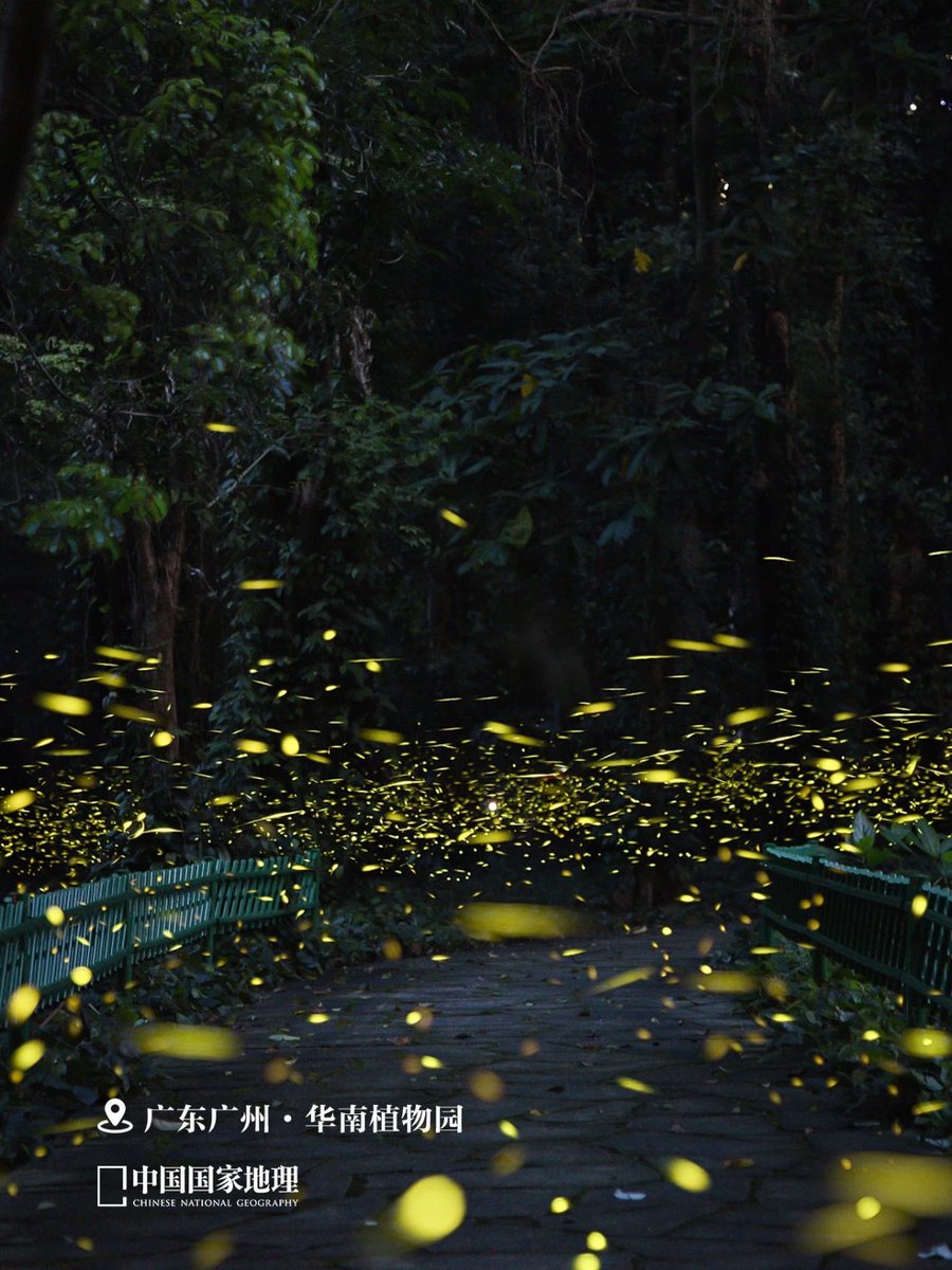 Сайхан амраарай~🌌