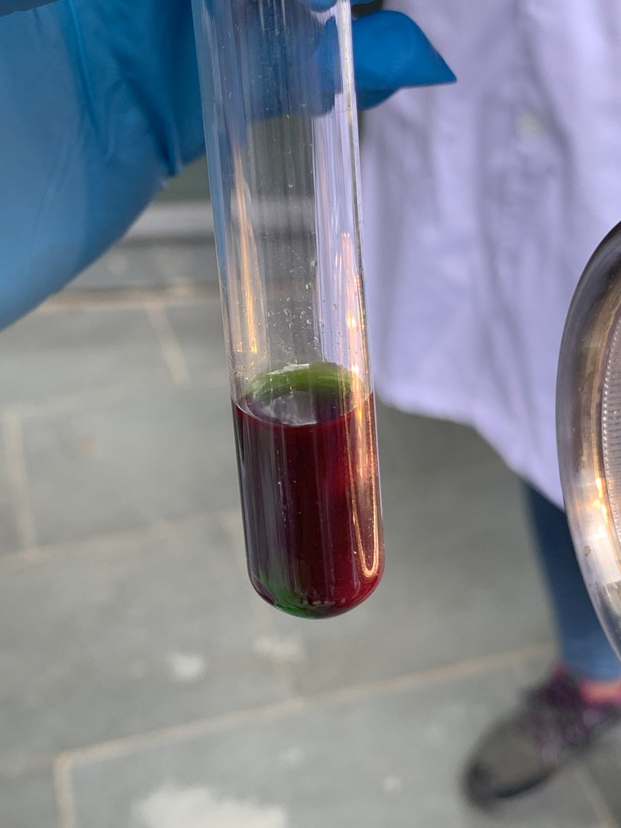 Camilo A Mesa tweet media