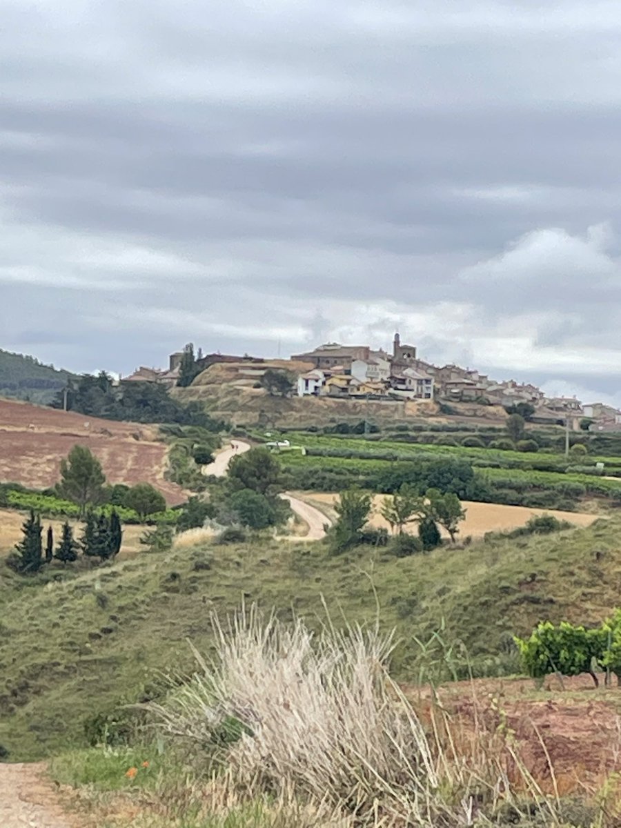 StAndrewsRCSec's tweet photo. …there’s more.
Day 2
#BuenCamino24 https://t.co/QnV2R7wbHh