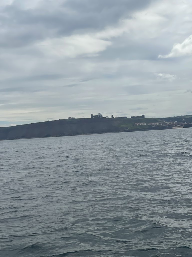 theeayatollah's tweet photo. Boat Trip
Toucans and Swans at sea. What a beautiful day! #SPSWhitby https://t.co/roOnMvrByF