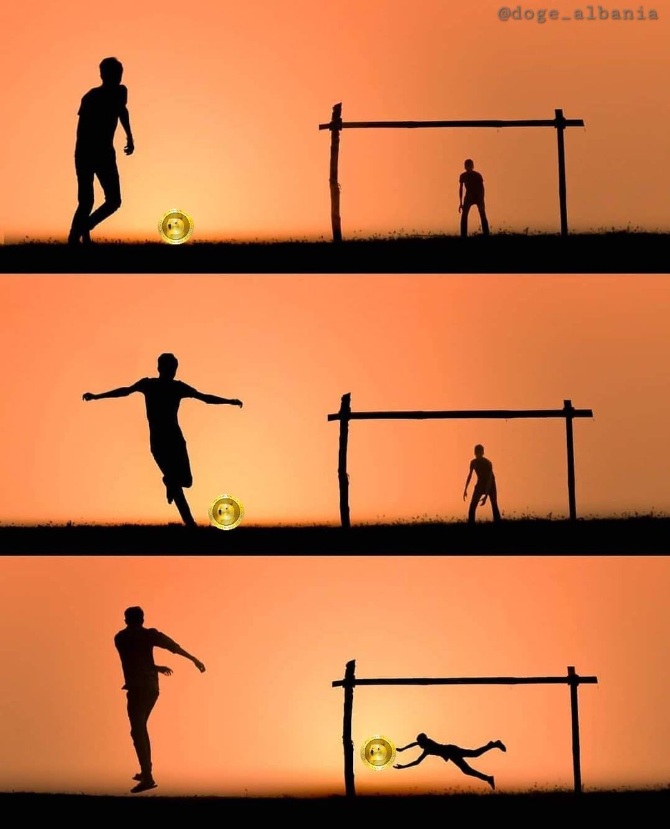 Ɖoge_Alb tweet media