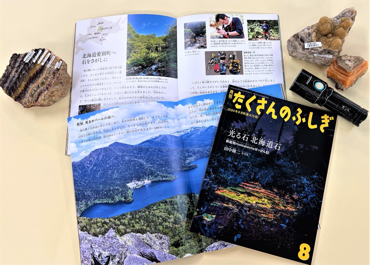 いつか…新しい鉱物をみつける✨⛏️」そんな幼い日の夢を叶えた元石っ