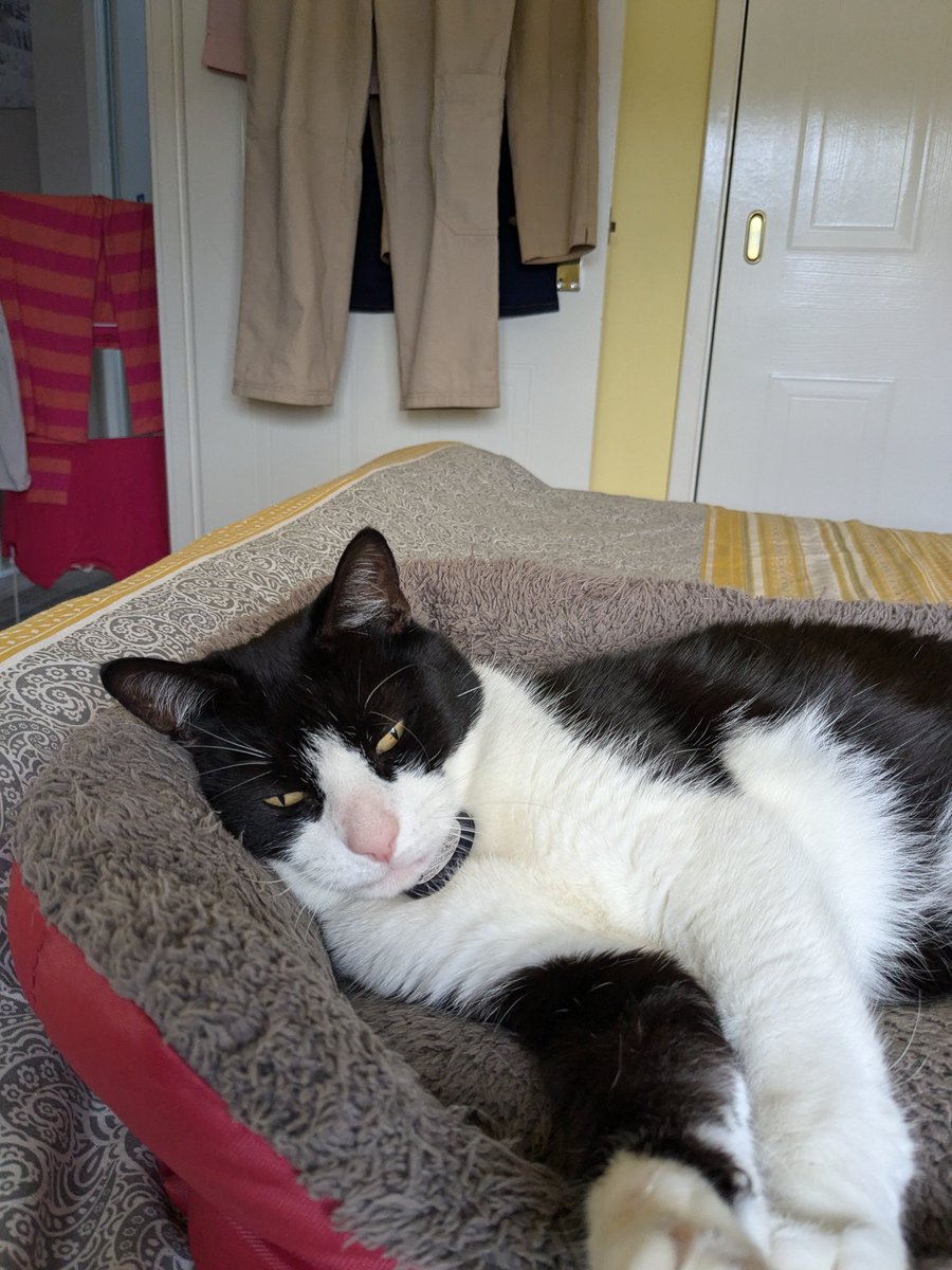 Graham Mck tweet media