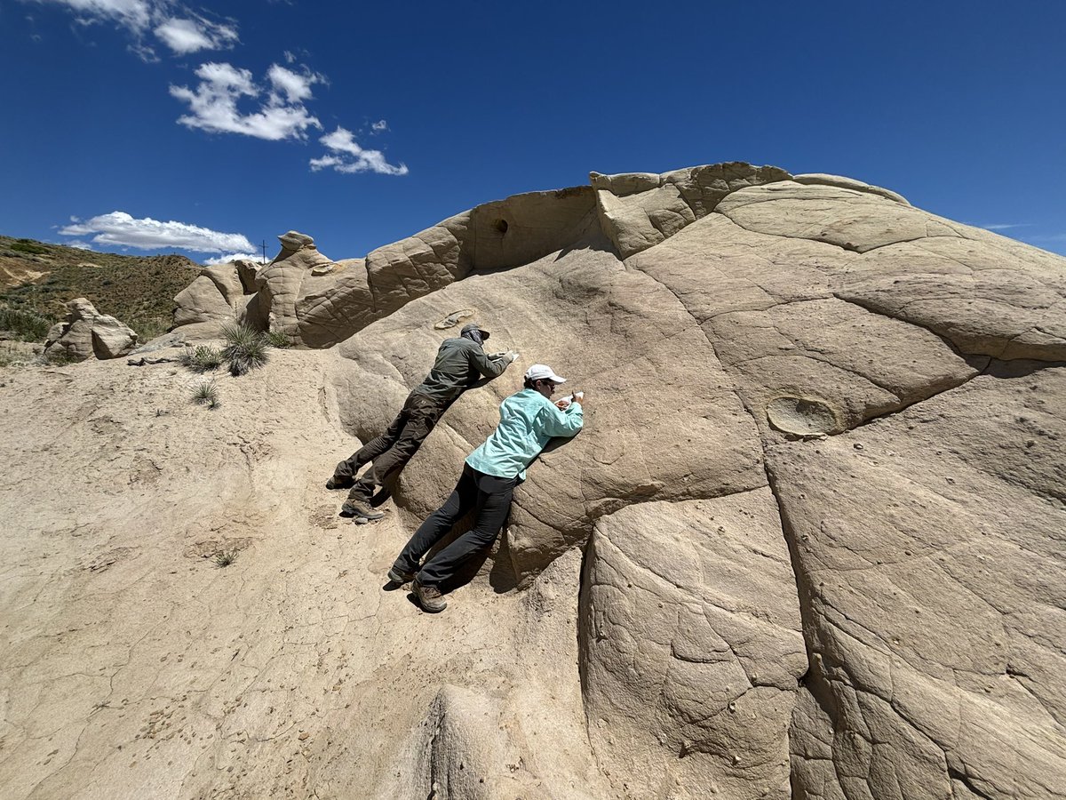 Luke Weaver tweet media