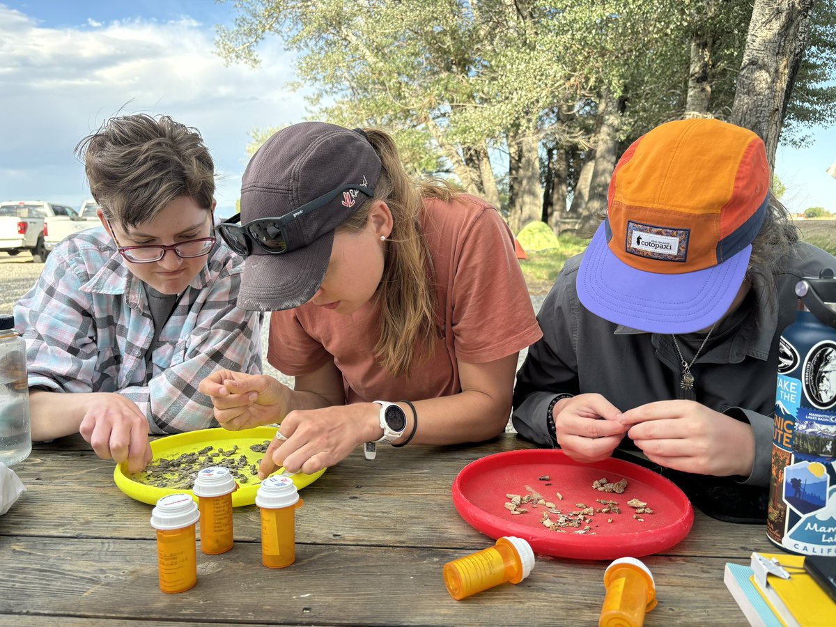 Luke Weaver tweet media