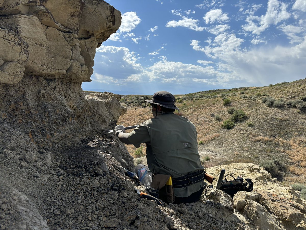 Cretaceous and Paleocene mammal adventures in the Bighorn Basin (mostly geology this trip). It’s the people that make it! <a href="/UMichPaleo/">UM Paleontology</a> <a href="/MichiganEarth/">Michigan EARTH</a> + <a href="/uageosci/">University of Alabama Geological Sciences</a> + <a href="/UFGeology/">UF Geology</a> #CretaceousBighornProject