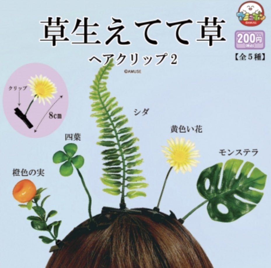 macyre72done's tweet photo. #雪璃OnAir
#AnYuri
名前が草でした https://t.co/0Y2Q8HggxD