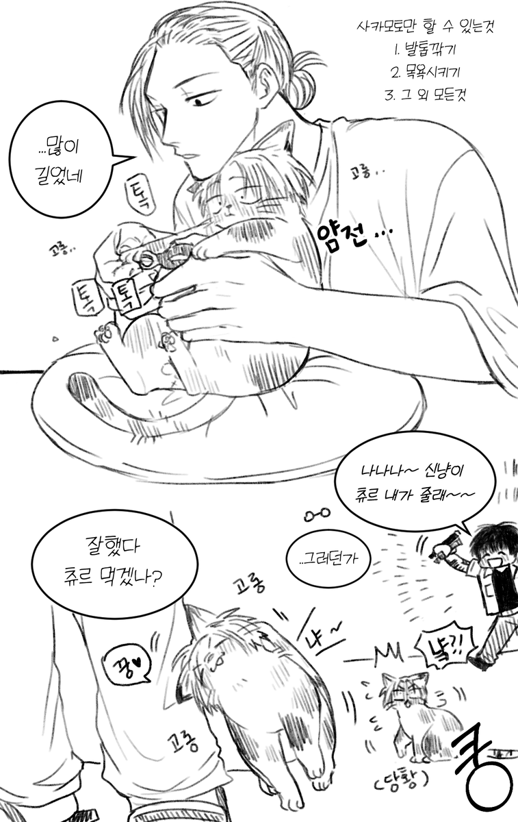 신냥이는 사카모토씨만 따름 