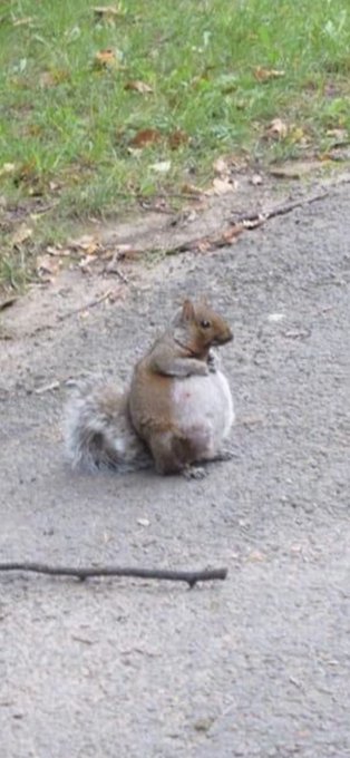 Vibes of the week 🫶🏼 https://t.co/xqmLklikJg