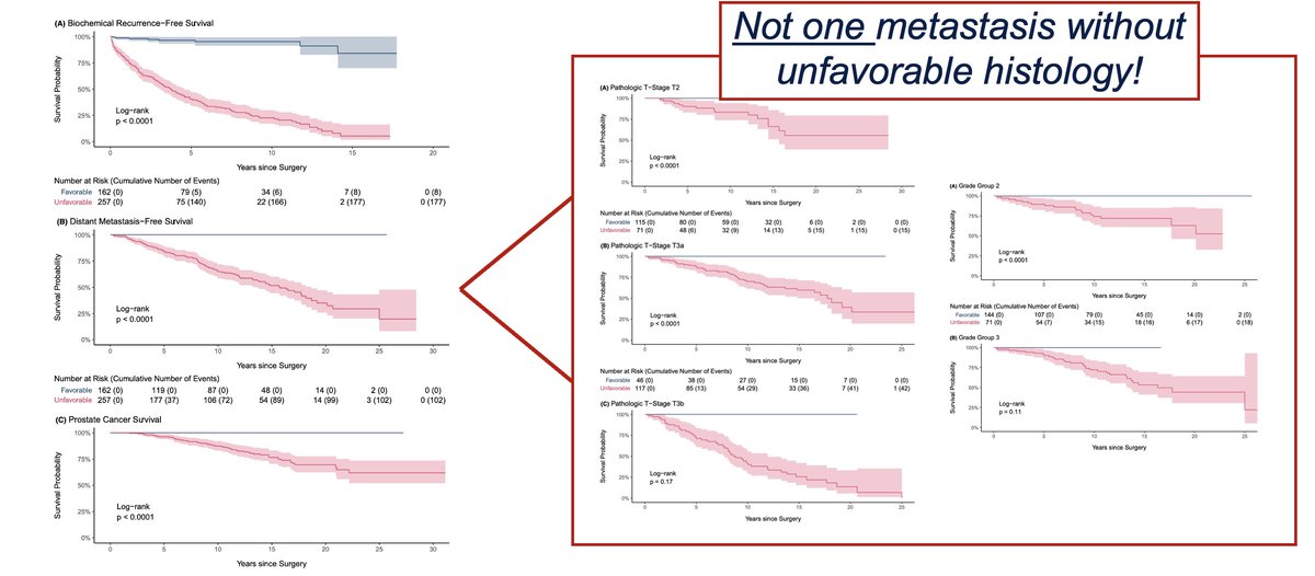 Matt Cooperberg (@dr_coops) on Twitter photo ICYMI: This paper from <a href="/JaneNguyen44/">Jane K Nguyen MD PhD</a> and Jesse McKenney on rethinking Gleason grading is a really big deal. Splitting all patterns into "favorable" and "unfavorable" amounts to the best biomarker I think I've ever seen for #prostatecancer. ICYMI: This paper from <a href="/JaneNguyen44/">Jane K Nguyen MD PhD</a> and Jesse McKenney on rethinking Gleason grading is a really big deal. Splitting all patterns into "favorable" and "unfavorable" amounts to the best biomarker I think I've ever seen for #prostatecancer.