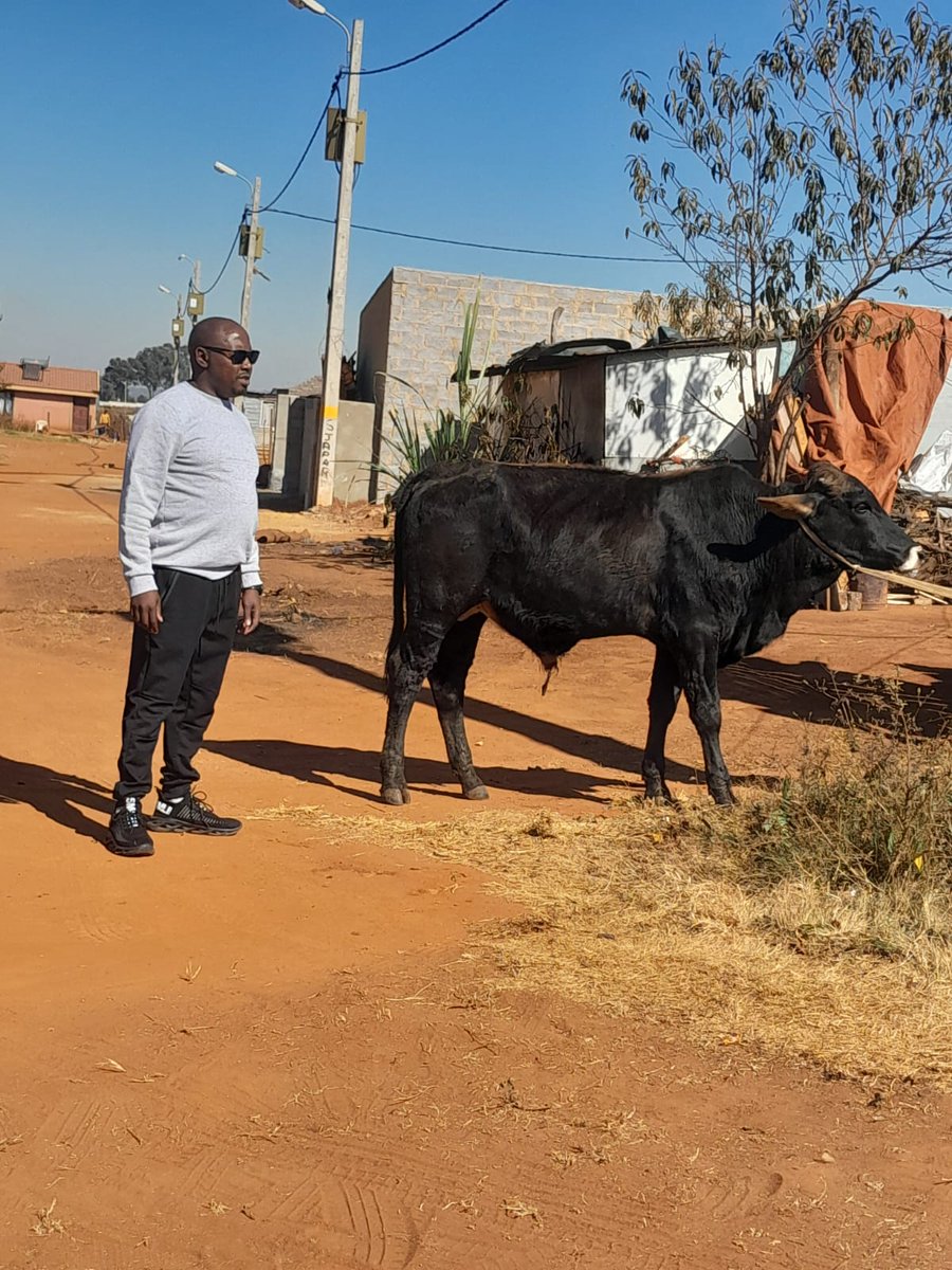 LifewayLtd's tweet photo. Delivered in at Thinasonke, Thokoza eastrand

We deliver nationwide and the best https://t.co/RQ5djkPNAF