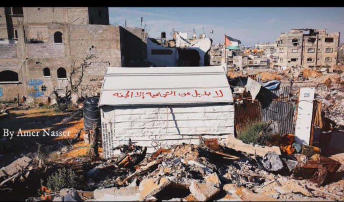 أصحابُ الأرض :
لا بديل عن الشُّجاعيَّة إلا الجنَّة! 💚