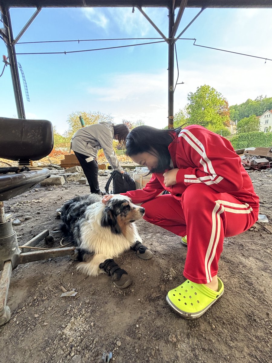 イッテQ本日の放送終了📺 本日も #イッテQ ご覧頂きありがとうご