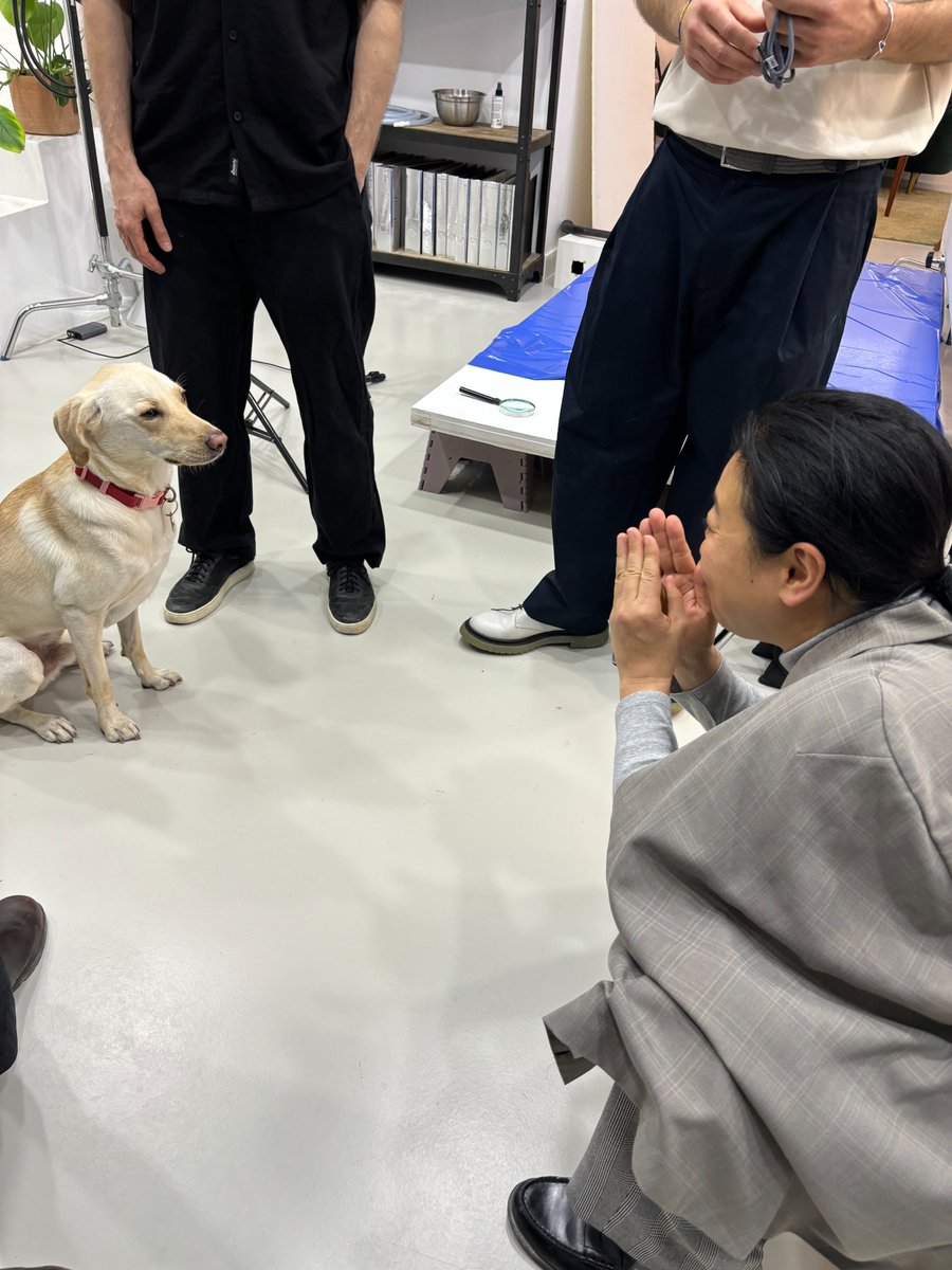 イッテQ本日の放送終了📺 本日も #イッテQ ご覧頂きありがとうご