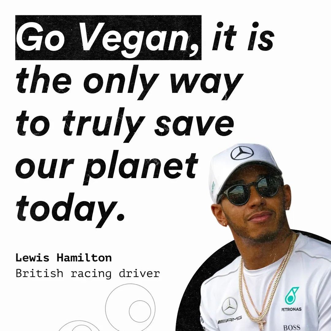 Levi Tahor🌱🤘🏻😈🇮🇱🇦🇷🇺🇸🇺🇾⚽ tweet media