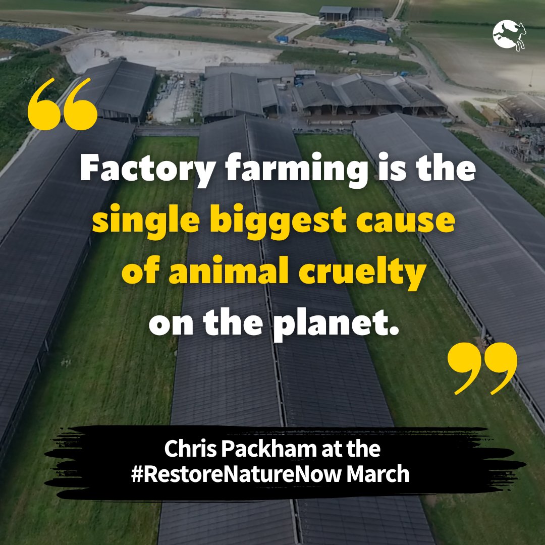 Compassion in World Farming UK tweet media