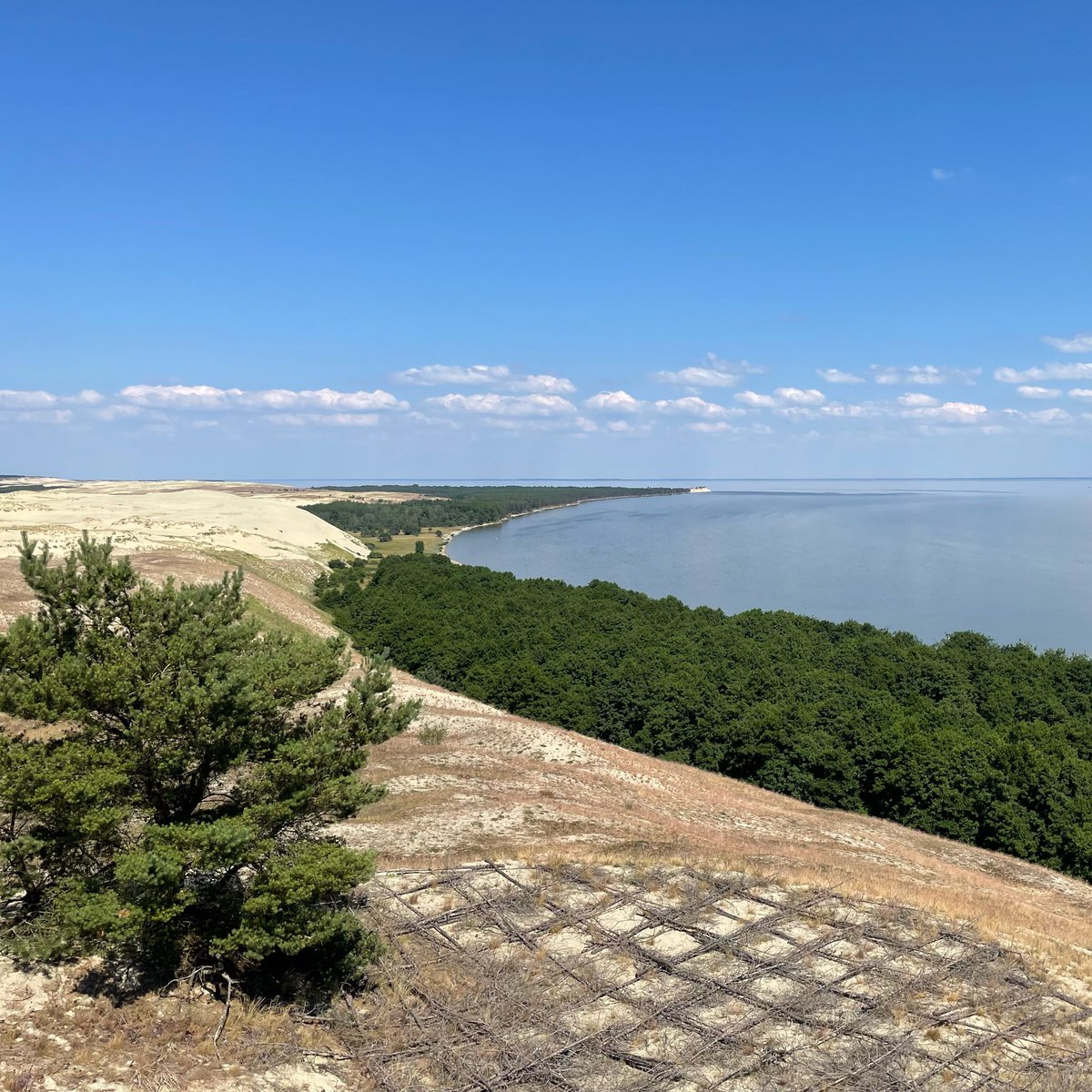 acheache's tweet image. Привет, #КуршскаяКоса! =)